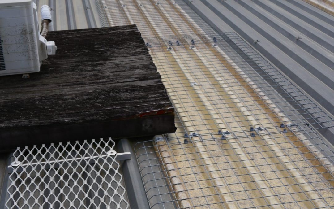 Whakatane project